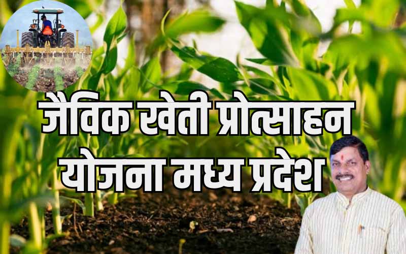 jaivik kheti protsahan yojana | जैविक खेती प्रोत्साहन योजना मध्य प्रदेश